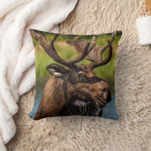 Bull Moose   Glacier National Park Montana Kissen