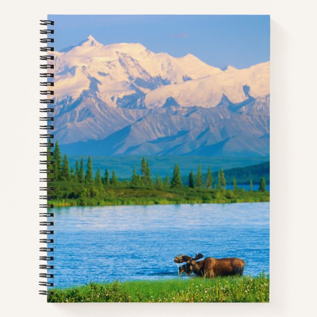 Bull moose in Wonder Lake Notizbuch (Vorderseite)