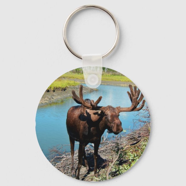 Bull Moose Keychain Schlüsselanhänger (Vorderseite)