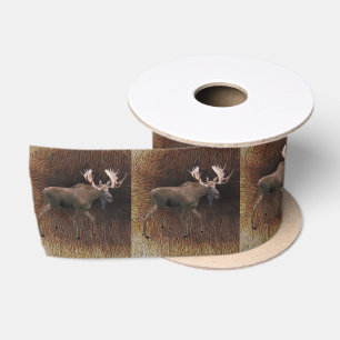 Bull Moose on Kariou Fur Satinband