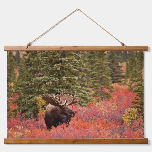 Bull Moose Stehend Wandteppich Mit Holzrahmen (Vorne)