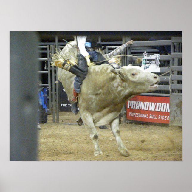 Bull Riding Action Poster (Vorne)