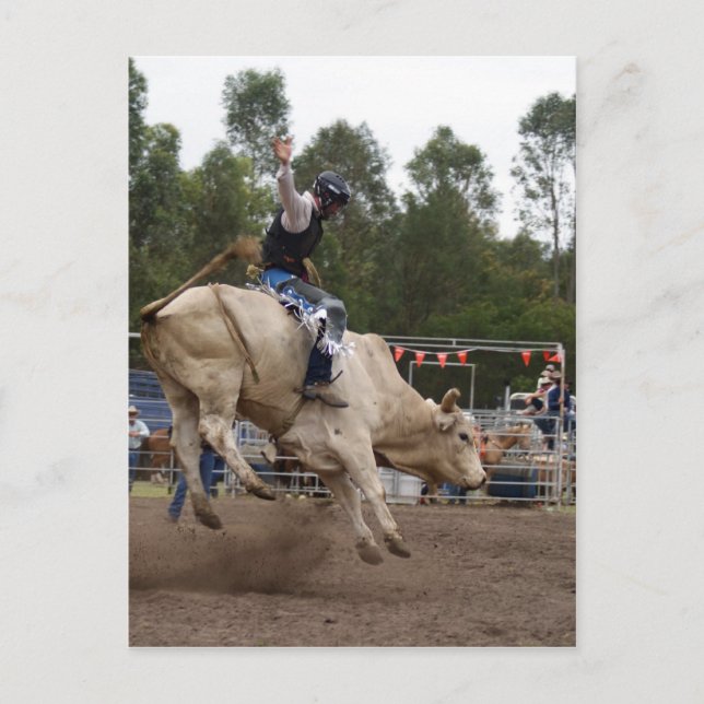 BULL RIDING BERT POSTKARTE (Vorderseite)