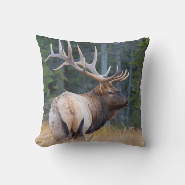 Bull Rocky Mountain Elk Kissen (Vorderseite)