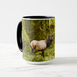Bull Roosevelt-Elch steht auf einer Wiese Tasse
