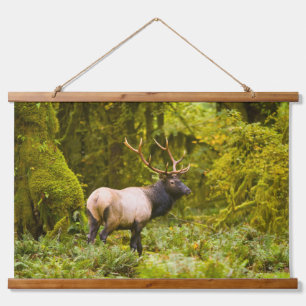 Bull Roosevelt Elk Stehend auf Wiese Wandteppich Mit Holzrahmen