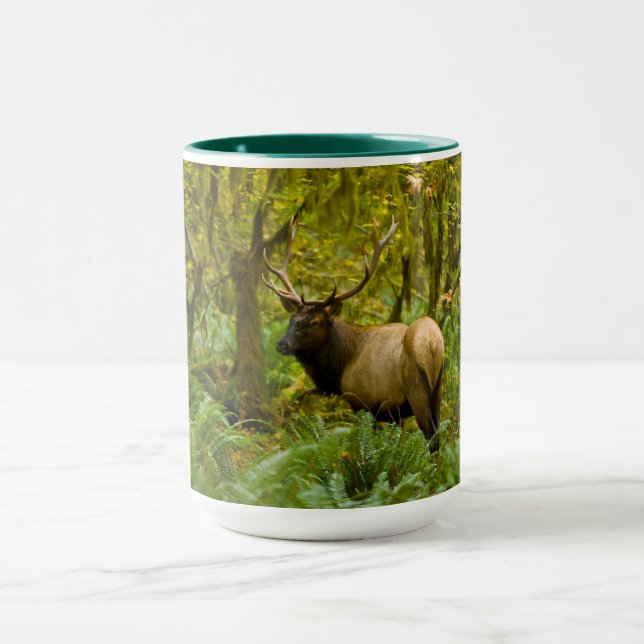 Bull Roosevelt Elk Tasse (Zentrum)
