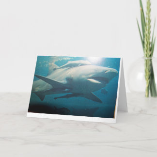 Bull Shark Grußkarte Karte