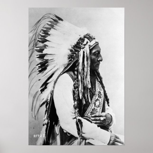 Bull sitzend, ein Hunkpapa-Sioux Poster (Vorne)