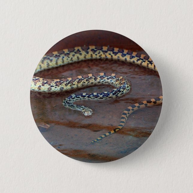 Bull Snake Button (Vorderseite)