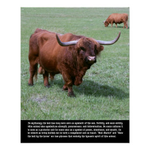 Bull Symbolismus Poster