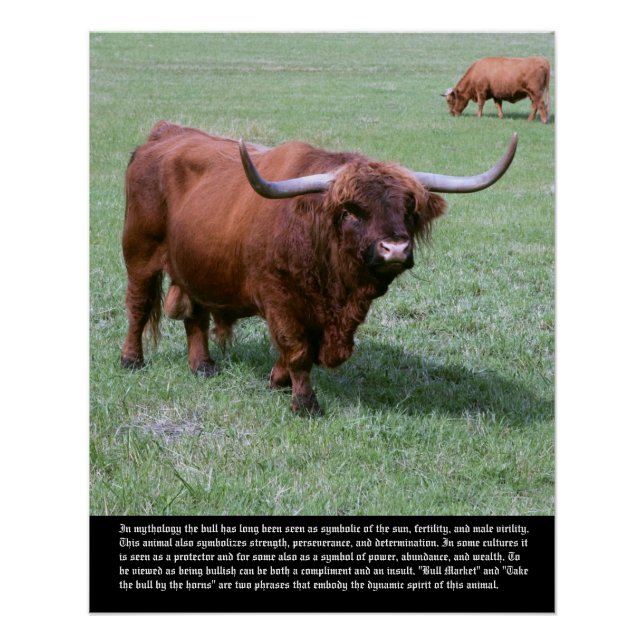 Bull Symbolismus Poster (Vorderseite)