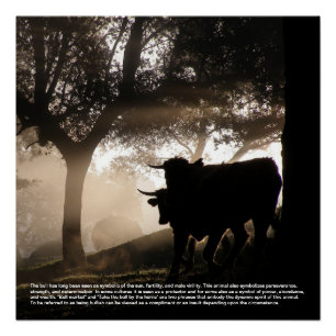 Bull Symbolismus Poster