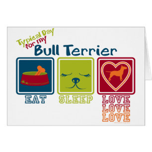 Bull-terrier