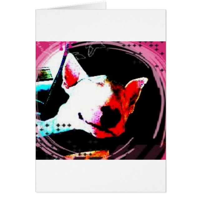 bull terrier (Devant)