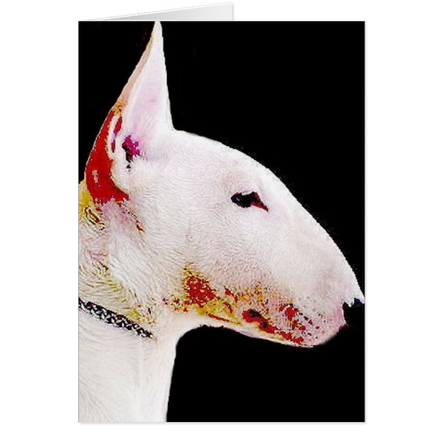 Bull Terrier (Vorne)