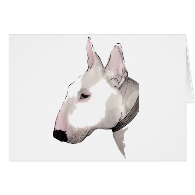 Bull-terrier anglais (Devant horizontal)