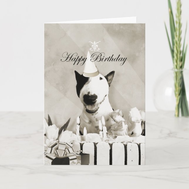Bull Terrier Carte photo "Joyeux anniversaire" (Devant)