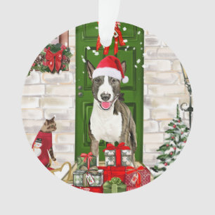 Bull Terrier Chien Noël