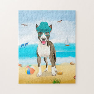 Bull Terrier Dog on Beach