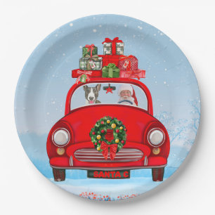 Bull Terrier Hund im Auto mit dem Weihnachtsmann Pappteller