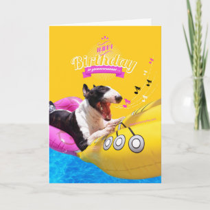 Bull Terrier "Joyeux anniversaire" Carte photo