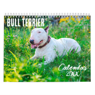 Bull Terrier Kalender 2025