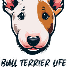 Bull Terrier Life