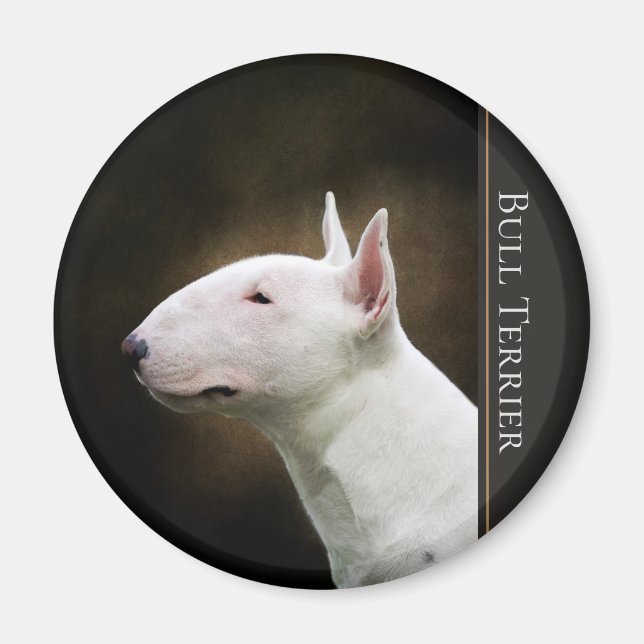 Bull Terrier Magnet (Vorne)