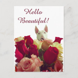 Bull Terrier mit Rose Gruß - Hallo schön Postkarte