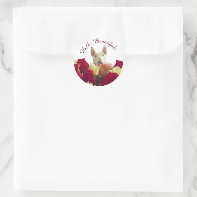 Bull Terrier mit Rose - Hallo schön Runder Aufkleber (Tasche)