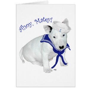 Bull Terrier Puppy Sailor