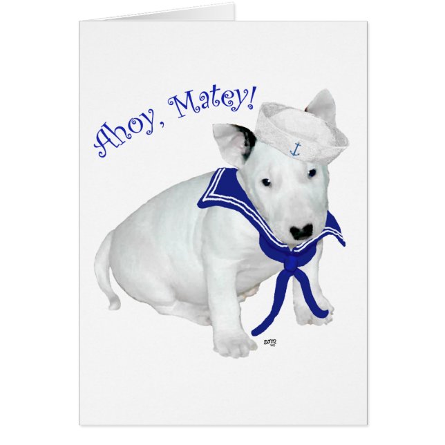 Bull Terrier Puppy Sailor (Vorne)