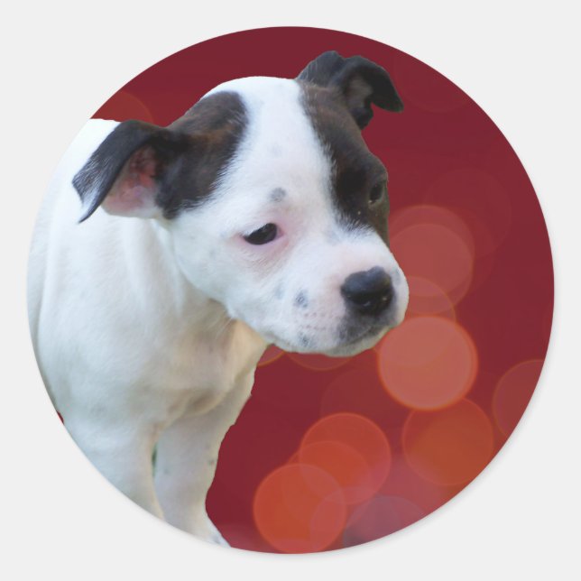 Bull Terrier Puppy, schwarz-weiß, Runder Aufkleber (Vorderseite)