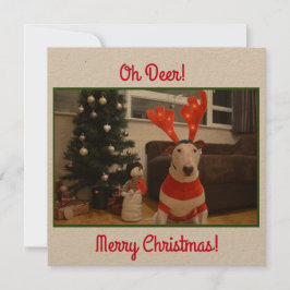 Bull Terrier Reindeer Christmas Funny Karte