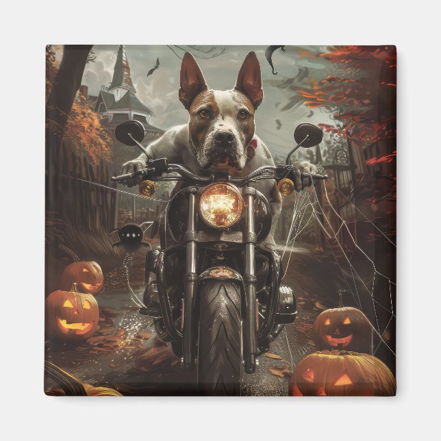 Bull Terrier Riding Motorrad Halloween Beängstigen Magnet (Vorne)