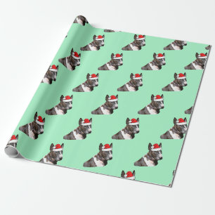 Bull Terrier trägt eine Weihnachtsmannmütze Geschenkpapier