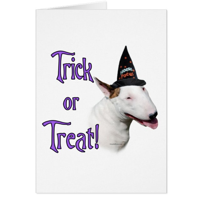 Bull Terrier Trick (Vorne)