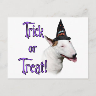 Bull Terrier Trick Postkarte