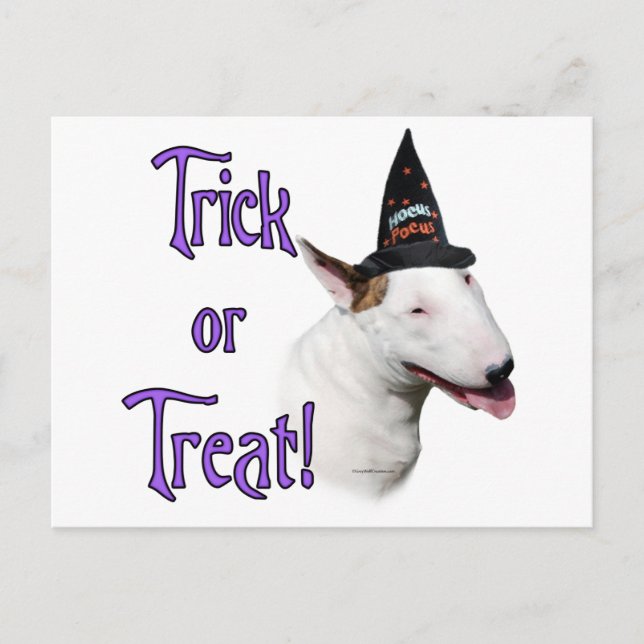 Bull Terrier Trick Postkarte (Vorderseite)