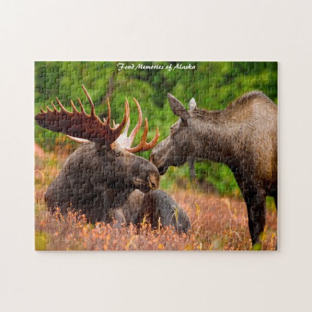 Bull und Kuh Elch Alaska. Weihnachtsgrüße Jig (Horizontal)