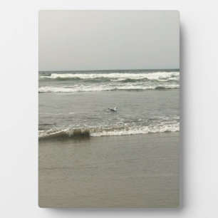 Bullards Beach State Park, Bandon, Oregon Fotoplatte