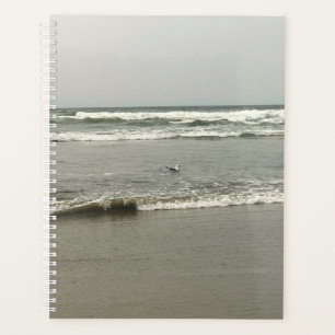 Bullards Beach State Park, Bandon, Oregon Planer