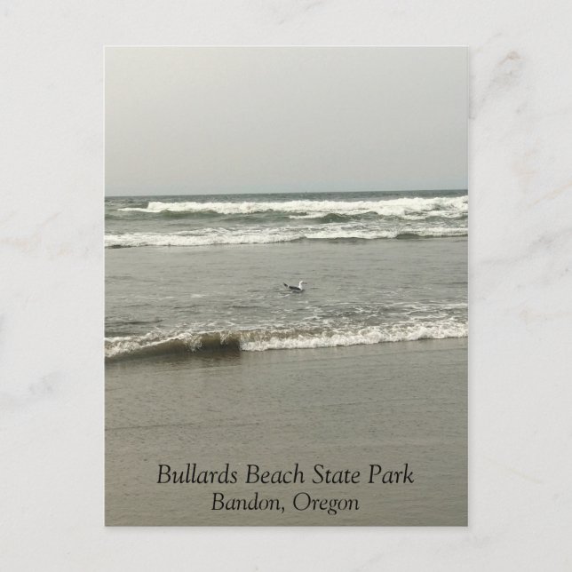 Bullards Beach State Park, Bandon, Oregon Postkarte (Vorderseite)
