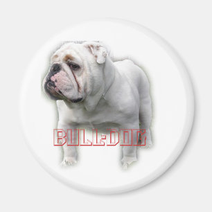 Bulldog ブ ド グ magnet