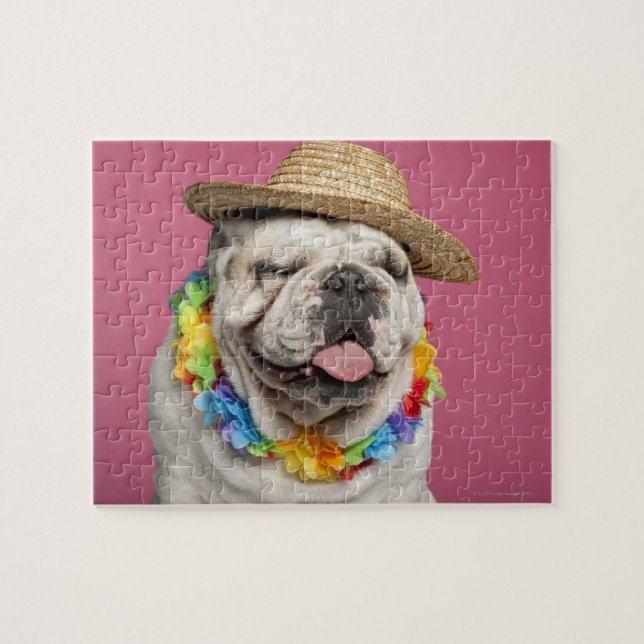 Bulldog (18 Monate alt) mit Strohhalm (Horizontal)