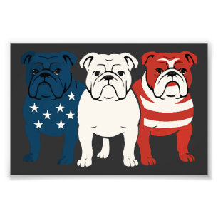 Bulldog 4. Juli Hunde Liebhaber Männer Frauen USA  Fotodruck