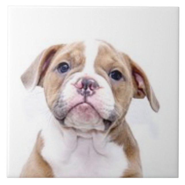 BULLDOG 5, Liebe für Haustiere, bestes Friedhofsgu Fliese (Vorderseite)