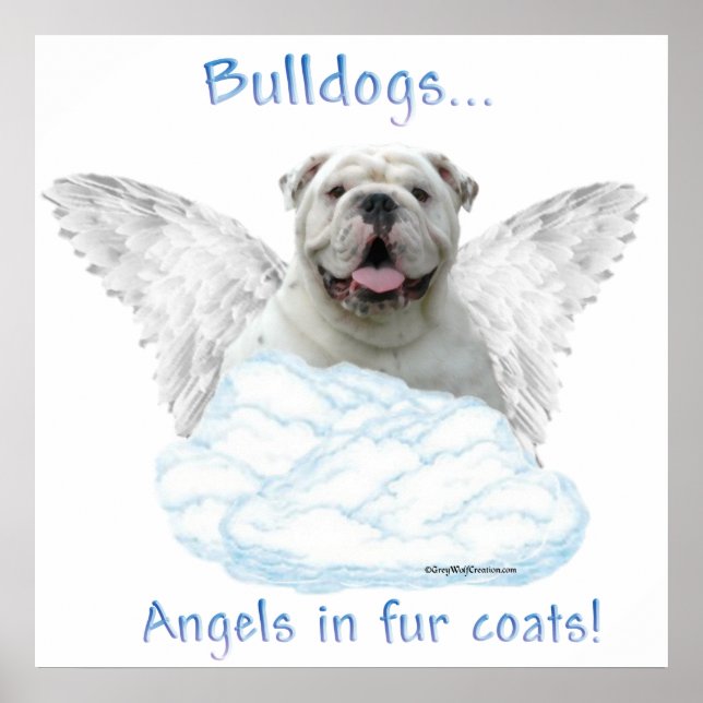 Bulldog Angel Poster (Vorne)