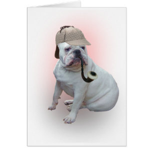 bulldog anglais